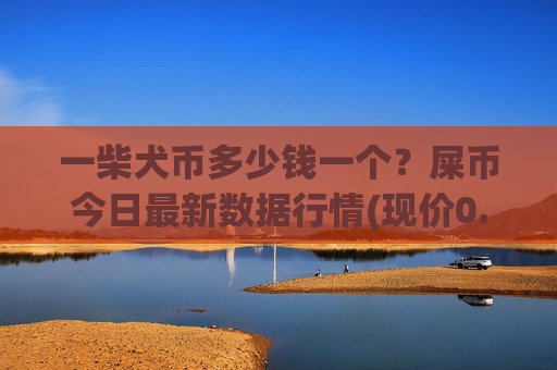 一柴犬币多少钱一个?屎币今日最新数据行情(现价0.00014255元)