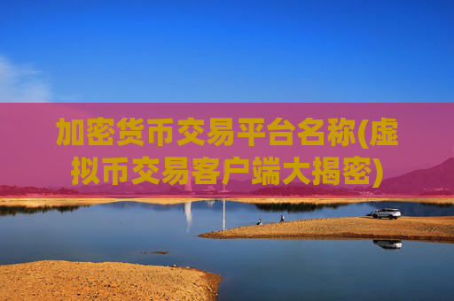 加密货币交易平台名称(虚拟币交易客户端大揭密)