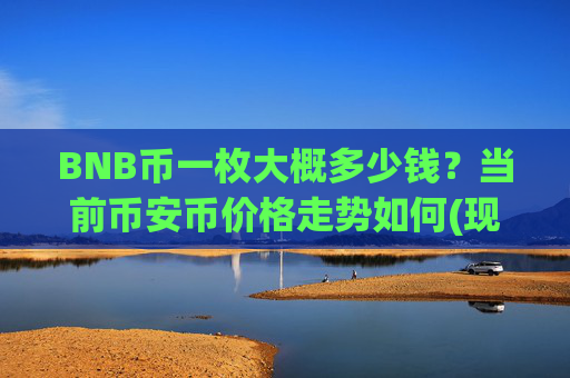 BNB币一枚大概多少钱?当前币安币价格走势如何(现价4695.23元)