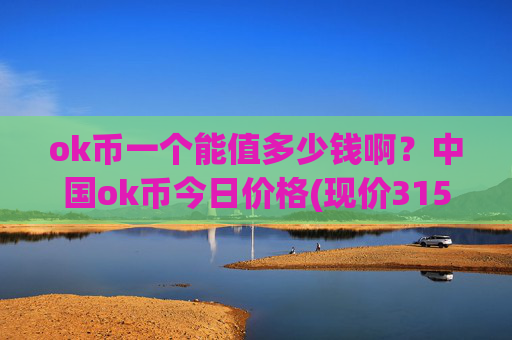 ok币一个能值多少钱啊?中国ok币今日价格(现价315.825元)
