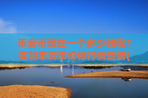 币安币现在一个多少钱呢?实时币安币价格行情走势(现价4654.46元)