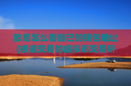 欧易怎么看自己的钱包地址(极速交易的虚拟币交易所)