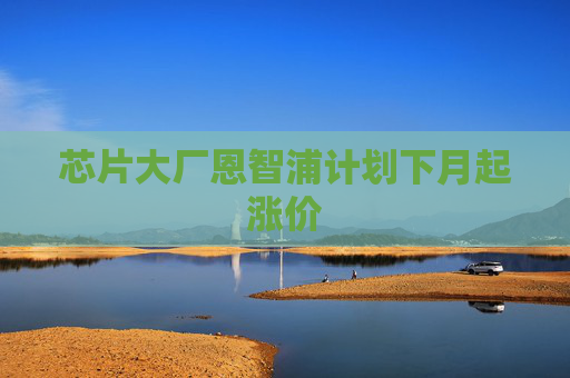 芯片大厂恩智浦计划下月起涨价