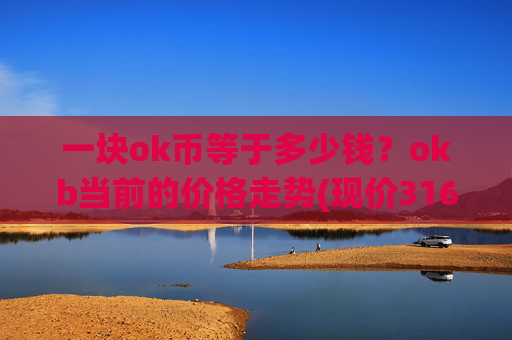 一块ok币等于多少钱？okb当前的价格走势(现价316.872元)