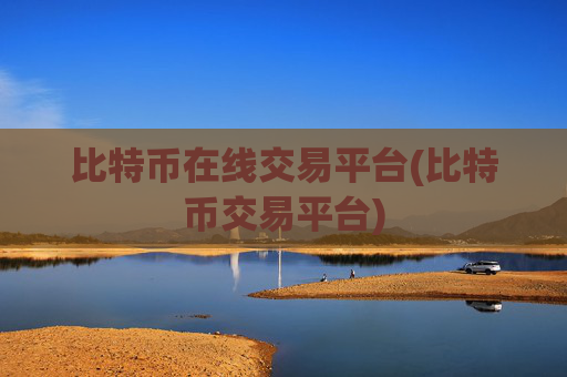 比特币在线交易平台(比特币交易平台)