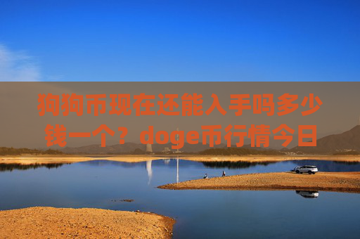 狗狗币现在还能入手吗多少钱一个？doge币行情今日最新价格(现价1.973元)