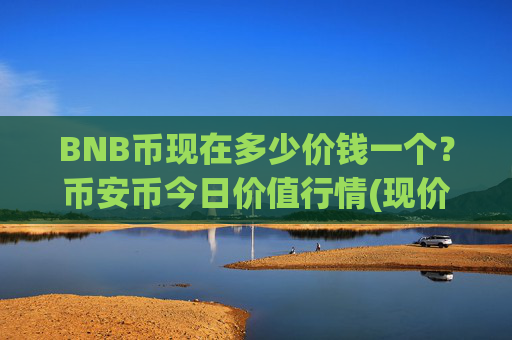 BNB币现在多少价钱一个？币安币今日价值行情(现价4737.02元)