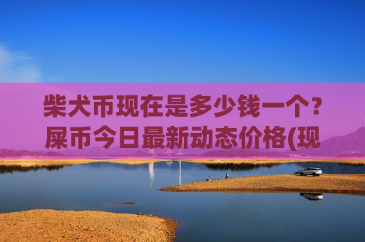 柴犬币现在是多少钱一个?屎币今日最新动态价格(现价0.00014606元)