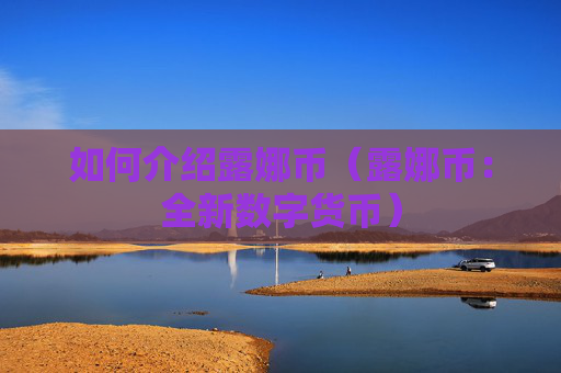 如何介绍露娜币（露娜币：全新数字货币）