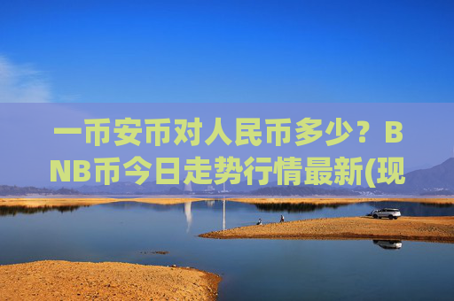 一币安币对人民币多少？BNB币今日走势行情最新(现价4711.33元)