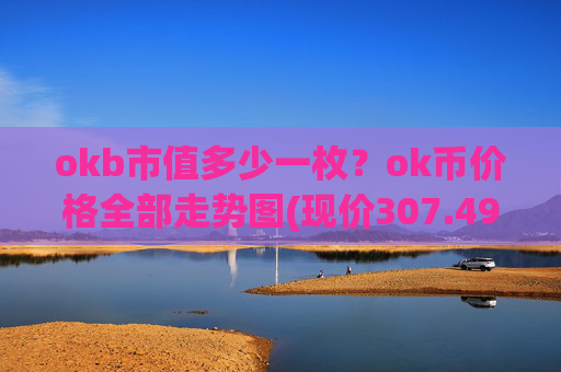 okb市值多少一枚？ok币价格全部走势图(现价307.496元)