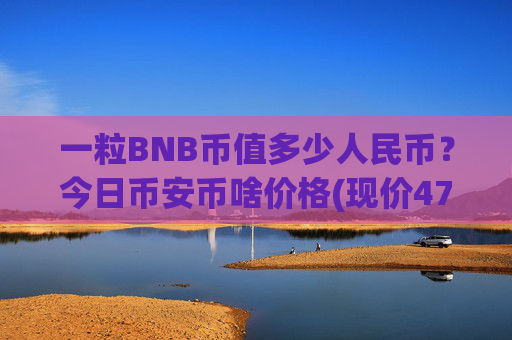 一粒BNB币值多少人民币？今日币安币啥价格(现价4701.55元)