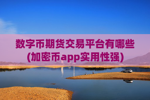 数字币期货交易平台有哪些(加密币app实用性强)