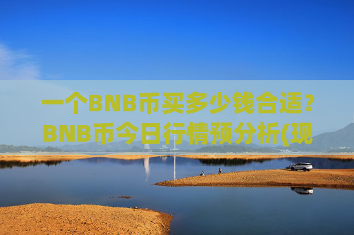 一个BNB币买多少钱合适？BNB币今日行情预分析(现价4722.28元)