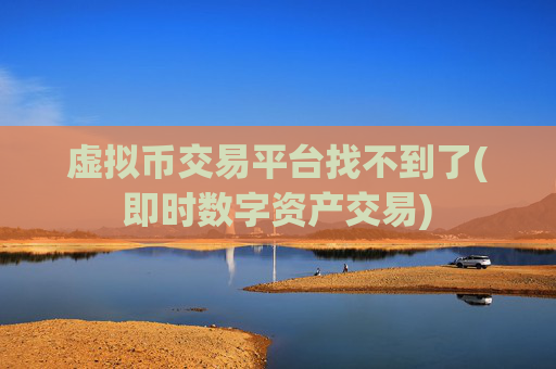 虚拟币交易平台找不到了(即时数字资产交易)