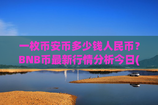 一枚币安币多少钱人民币?BNB币最新行情分析今日(现价4780.96元)