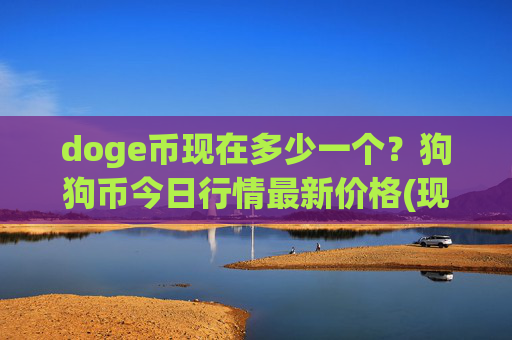 doge币现在多少一个?狗狗币今日行情最新价格(现价2.3123元)