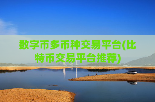数字币多币种交易平台(比特币交易平台推荐)