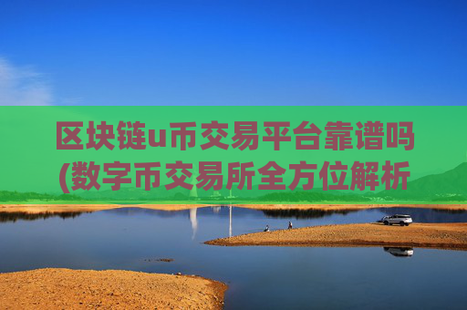 区块链u币交易平台靠谱吗(数字币交易所全方位解析)