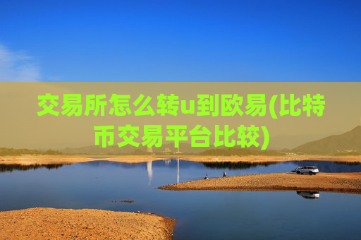 交易所怎么转u到欧易(比特币交易平台比较)