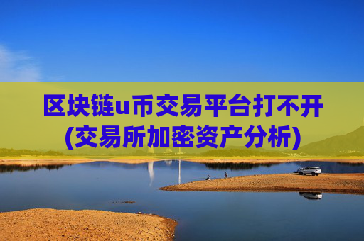 区块链u币交易平台打不开(交易所加密资产分析)