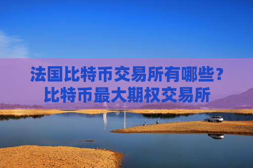 法国比特币交易所有哪些?比特币最大期权交易所