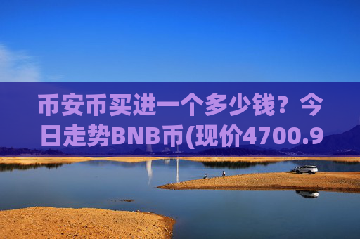 币安币买进一个多少钱？今日走势BNB币(现价4700.91元)