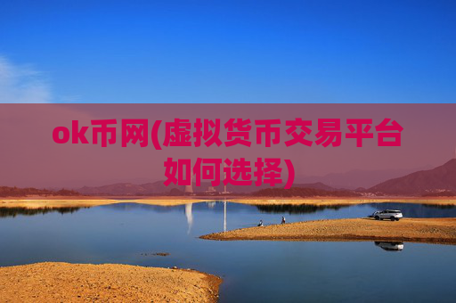 ok币网(虚拟货币交易平台如何选择)