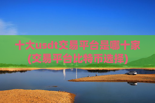 十大usdt交易平台是哪十家(交易平台比特币选择)
