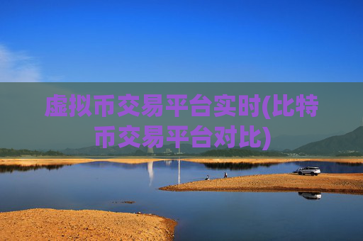 虚拟币交易平台实时(比特币交易平台对比)