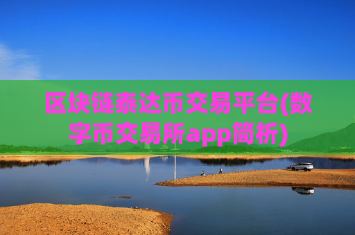区块链泰达币交易平台(数字币交易所app简析)