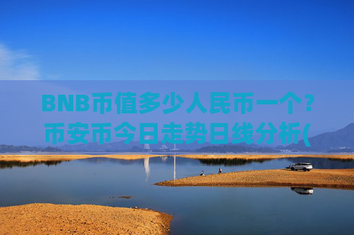BNB币值多少人民币一个？币安币今日走势日线分析(现价4852.01元)