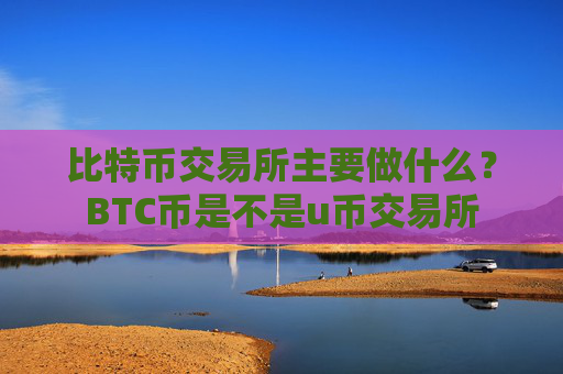 比特币交易所主要做什么?BTC币是不是u币交易所