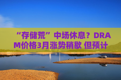 “存储荒”中场休息?DRAM价格3月涨势稍歇 但预计Q2继续上涨