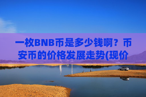 一枚BNB币是多少钱啊?币安币的价格发展走势(现价4691.39元)