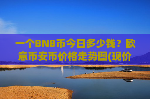 一个BNB币今日多少钱?欧意币安币价格走势图(现价4886.94元)