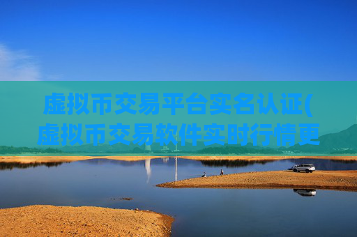 虚拟币交易平台实名认证(虚拟币交易软件实时行情更新)