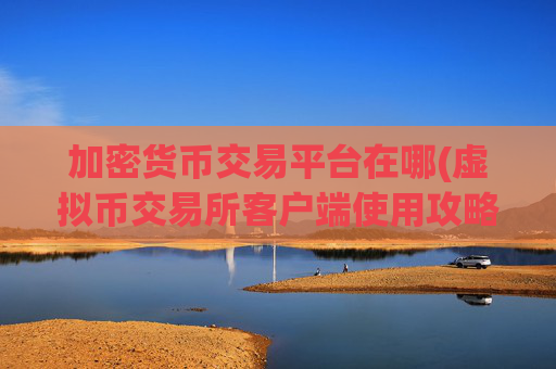 加密货币交易平台在哪(虚拟币交易所客户端使用攻略)