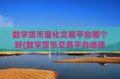 数字货币量化交易平台哪个好(数字货币交易平台选择)