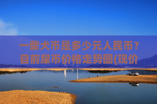 一柴犬币是多少元人民币?目前屎币价格走势图(现价0.00014226元)