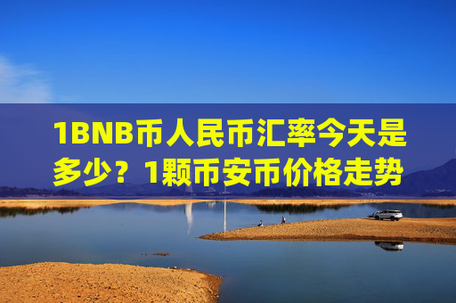 1BNB币人民币汇率今天是多少?1颗币安币价格走势如何(现价4663.55元)