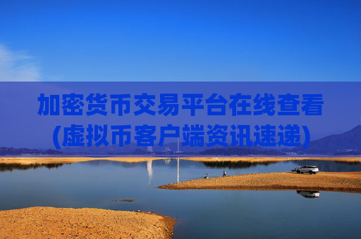 加密货币交易平台在线查看(虚拟币客户端资讯速递)