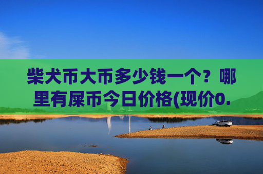 柴犬币大币多少钱一个？哪里有屎币今日价格(现价0.00016025元)