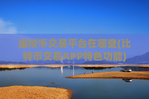 虚拟币交易平台在哪查(比特币交易APP特色功能)