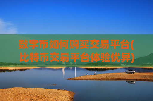 数字币如何购买交易平台(比特币交易平台体验优异)