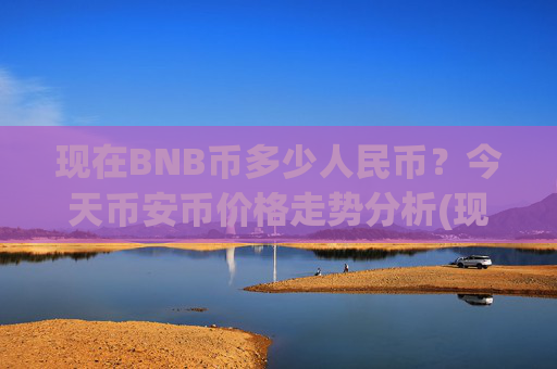 现在BNB币多少人民币?今天币安币价格走势分析(现价4949.22元)