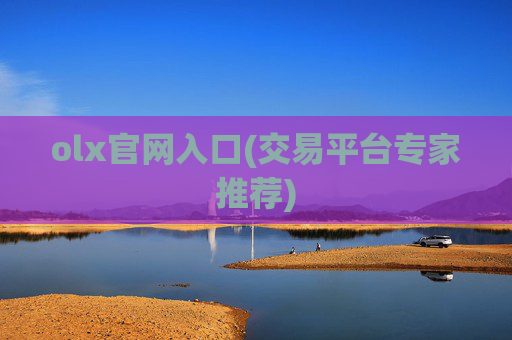 olx官网入口(交易平台专家推荐)