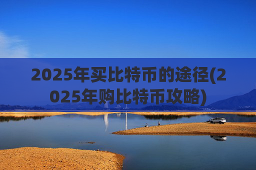 2025年买比特币的途径(2025年购比特币攻略)