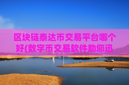 区块链泰达币交易平台哪个好(数字币交易软件助您迅速把握市场)