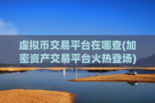 虚拟币交易平台在哪查(加密资产交易平台火热登场)